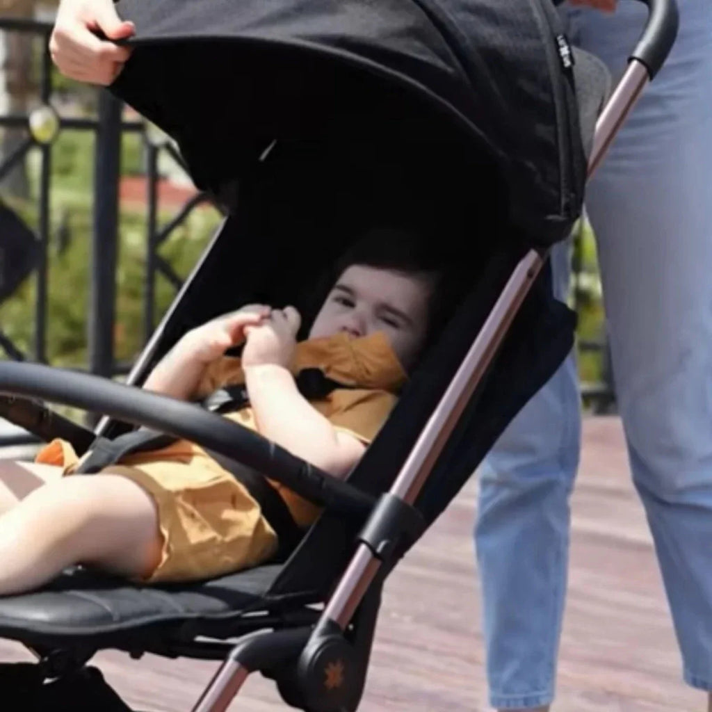 Luxus Hamilton R Pushchair - Anthracite